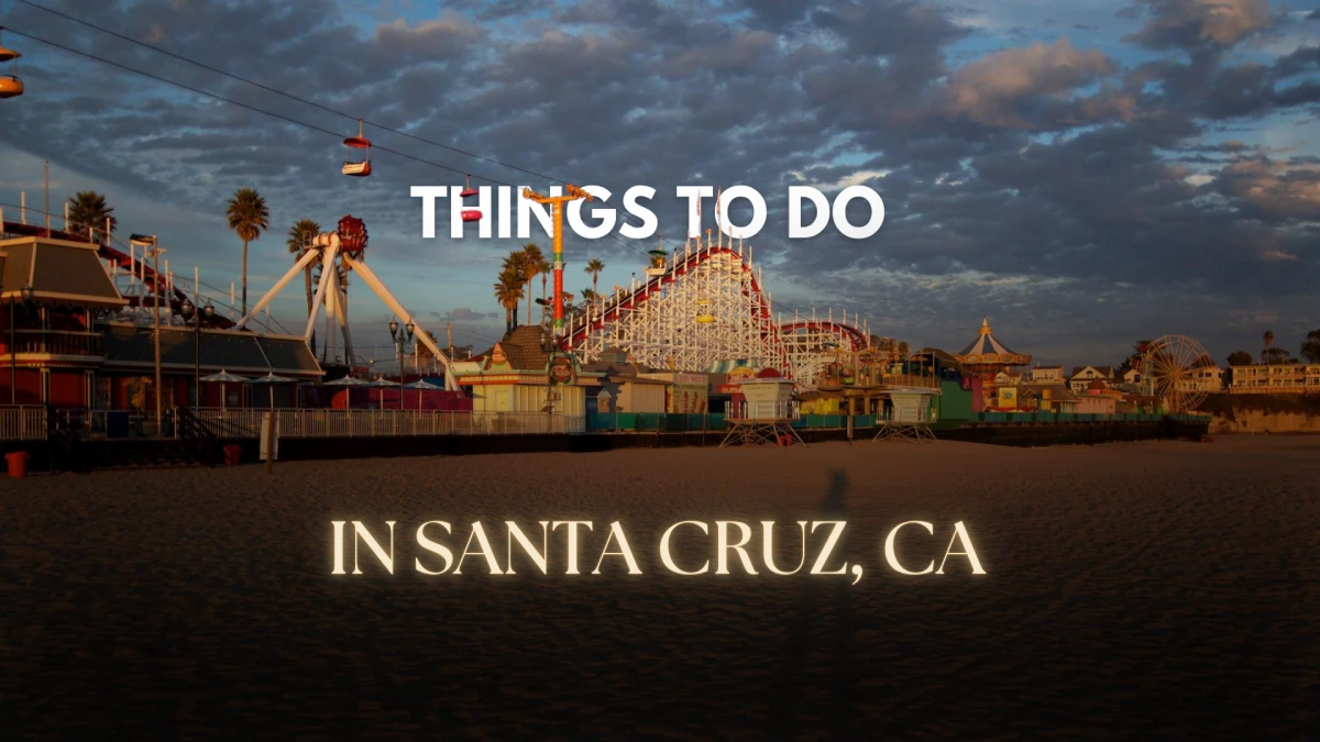 Things to Do in Santa Cruz