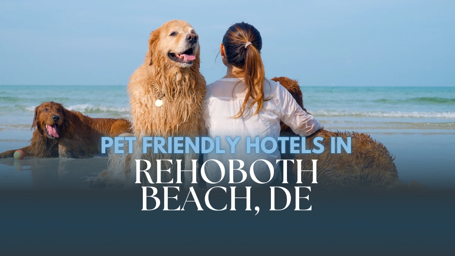 Pet Friendly Hotels in Rehoboth